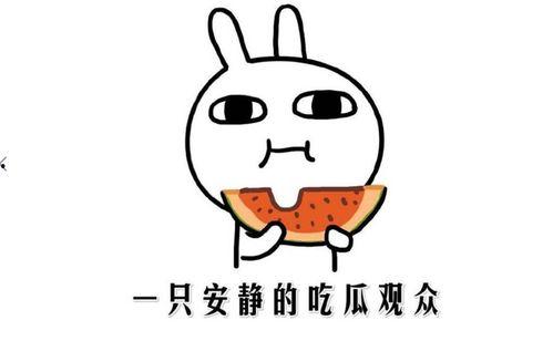 网上吃瓜的意思